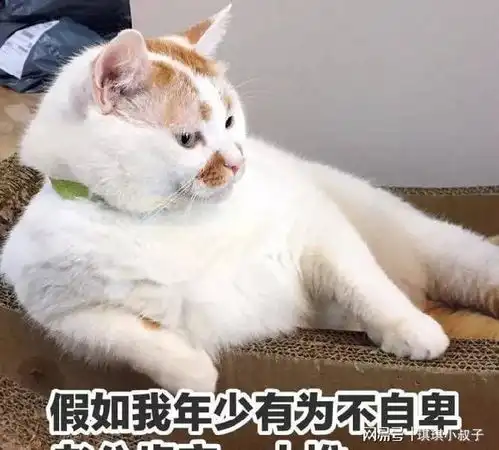 当你摸猫咪下巴时,原来它是这么想的
