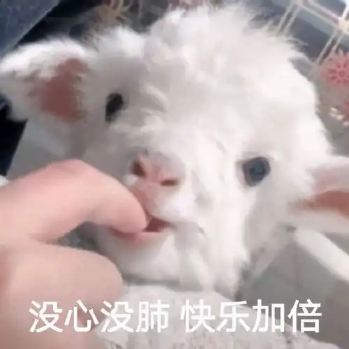 总患得患失,敏感到不敢接受异性示爱的几大星座
