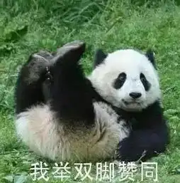 表情sir少儿不宜
