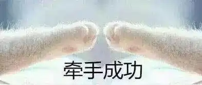 一个女程序媛mm征男友的需求说明书
