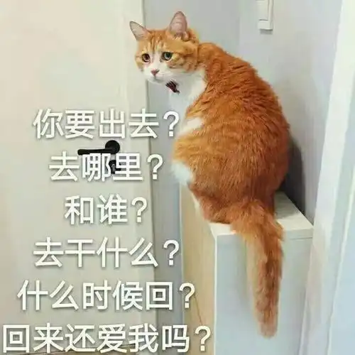 表情一组动物沙雕表情包