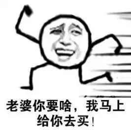 妻奴的自我修养
