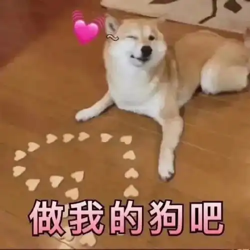 热门表情包图片回答我,我还是不是你的小宝贝了
