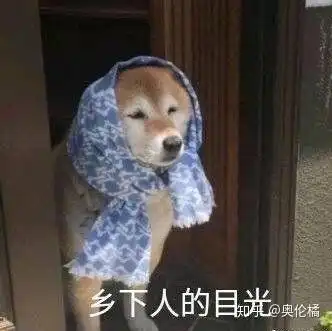 江苏美术生考同济需要总分多少分