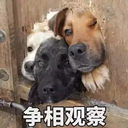 重磅这样分享朋友圈将被严厉打击
