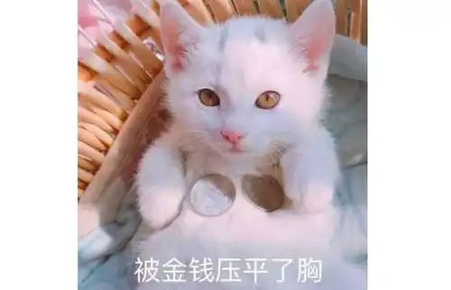 美柚资讯范冰冰价值百万的养肤心得,全在这里了
