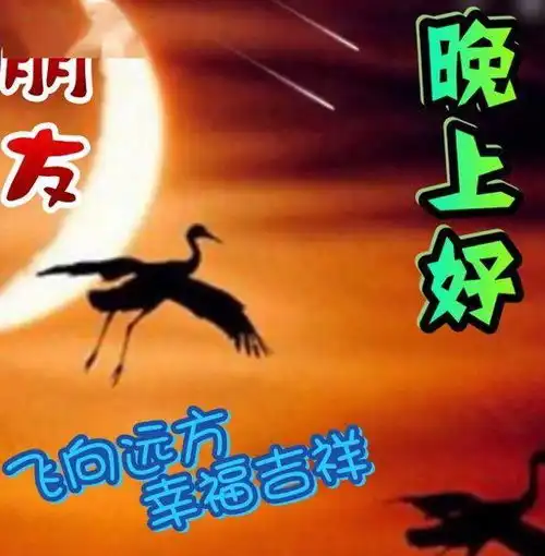 早上好表情包,上午好,中午好,晚上好,美丽的一天,祝天天好心情祝福
