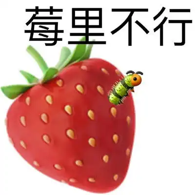 宝我错了接受你的劈苹全新老婆奴道歉专用表情包
