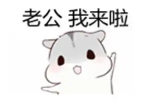 谁有老公系列表情包

