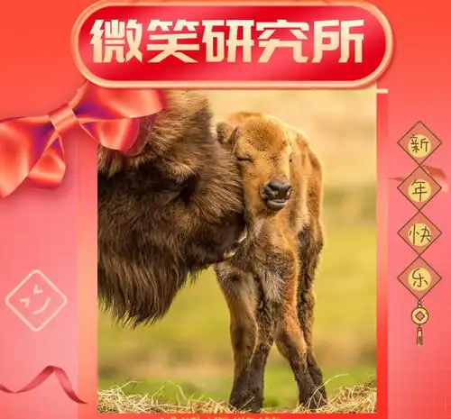微笑研究所嗨皮牛耶

