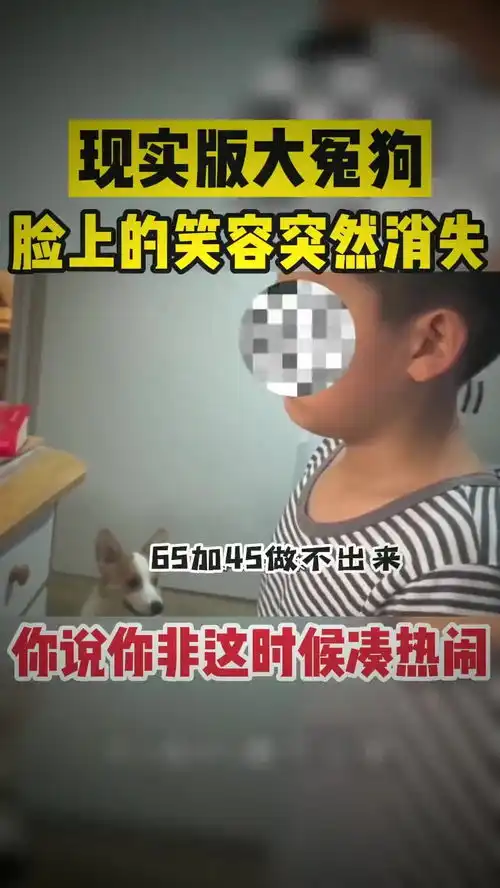 现实版大冤狗,脸上的笑容突然消失,你说你非这时候凑热闹
