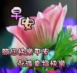 一束阳光照在身,祝你天天都开心,财神家中去,梦想变成真,早安
