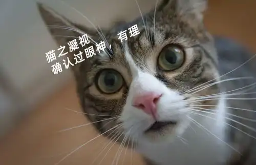 醒醒吧,你还被坚持就是胜利这种毒鸡汤忽悠吗
