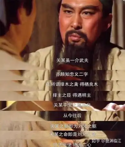 为什么文化在社会中很重要
