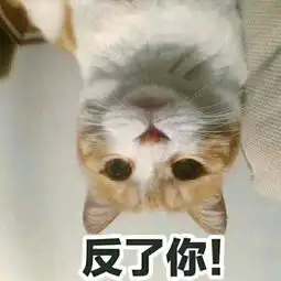 为什么最近天赋异禀中北极星突然火起来了
