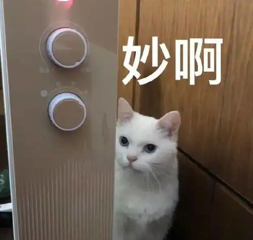 签到也会七十二变
