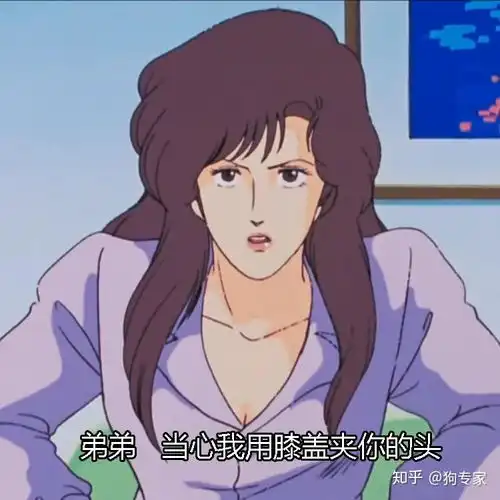 有哪些很污的表情包
