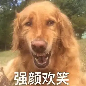 傻狗表情包什么意思萨哈