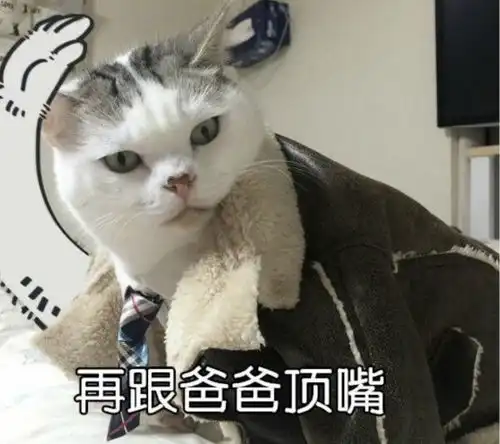 吐槽还能赢猫眼观影资格这波福利不要太爽了
