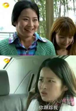 杨幂刘诗诗宋茜孙俪郑爽表情太囧神截图一秒毁女神图
