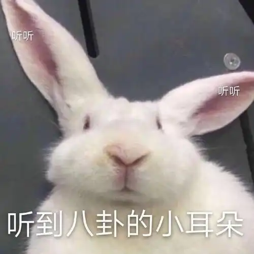 说到毛晓彤,说一说我见过的她本人真的跟屏幕上很...
