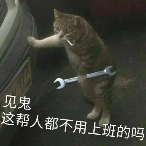 假炫富网红们的无敌观景房浴袍照,竟是这样拍出来的大跌眼镜
