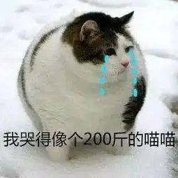 又一地官宣2.5天弹性休假7月至12月开始试行