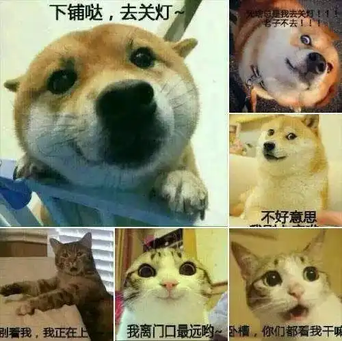 学生悦览准大学生这些高中和大学的区别你需要知道
