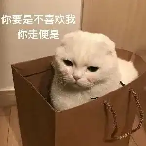少爷职场课丨这是职场,没人在意你的玻璃心
