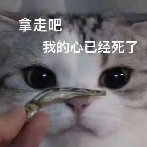 我,广州户口,第一次畀人嫌弃......
