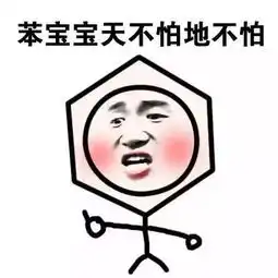 加拿大里约首金多伦多00后女飞鱼奥运夺冠
