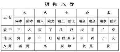 今年转入大运,婚姻财运逐步上升的生肖
