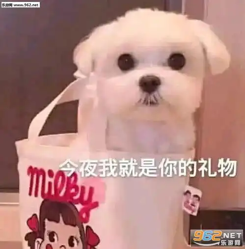 生活对我做了什么表情包图片回头一见憨批一片表情包下载乐游网游戏下载
