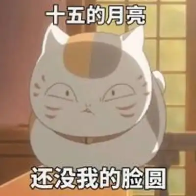 当喵咪遇上网红音乐,喵星吉祥物来啦
