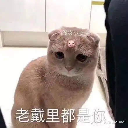 日常
