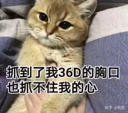 梦到和喜欢的人在一起意味着什么

