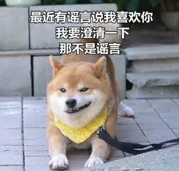 柴犬土味情话表情包合集你知道我的缺点是什么吗
