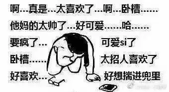 有没有追星用的表情包嘻嘻嘻就像这种样子的嘿嘿嘿