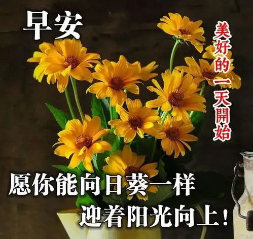 周四11月11日早上好问候语图片,清晨最温暖人心的冬季祝福语分享给朋友最温馨的早安问候句子
