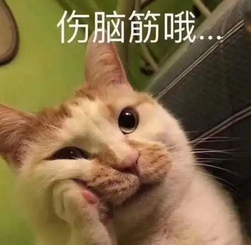我已经替你考607分了,报志愿是你的事,一位考生对父亲的怒吼
