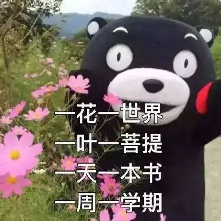 期末啊你这个小妖精,快放了我
