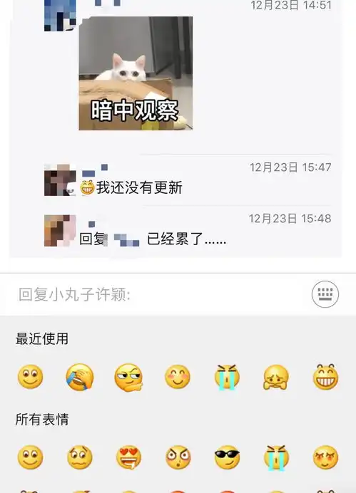 微信朋友圈评论表情包功能已无法使用
