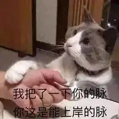 表情包不听话我就把你丢掉
