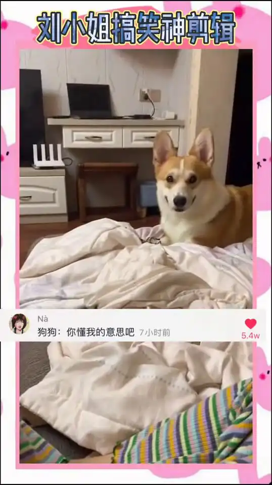 妹子刚拿起零食,扭头看了一眼狗子,狗子的表情太真实了
