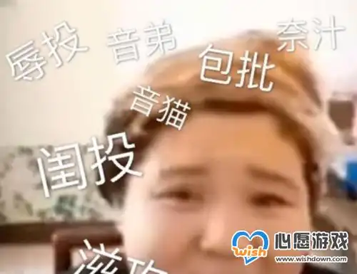 抖音郭言郭语是什么梗郭言郭语是什么意思郭言郭语含义及出处介绍心愿游戏
