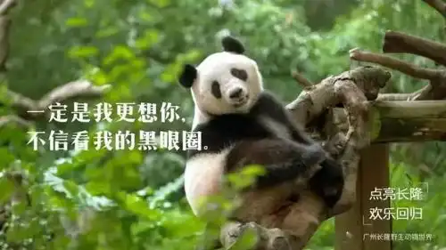 2021春节假日精选自组团抢先看,来电咨询更有更多优惠等你
