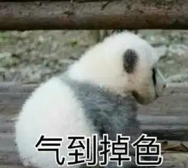 烤冷面是小吃界最大骗局每日轻松一刻12月5日晚间版
