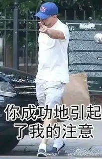 莱昂纳多表情包

