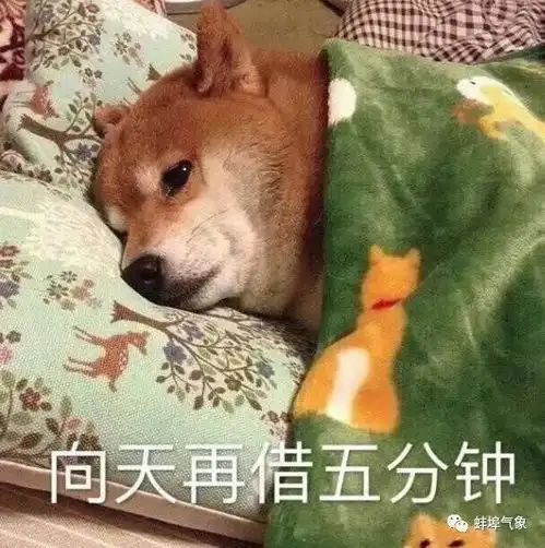 春运天气未来三天以晴到多云天气为主,17准备提货
