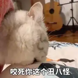 小姐姐看了脸都红了的表情爱要怎么说出口憋在心里好难受

